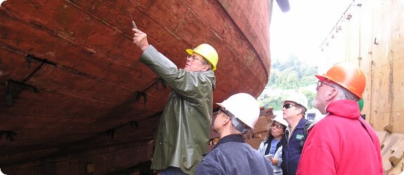 ship survey